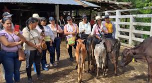 Mujeres campesinas reciben apoyo para proyecto ganadero